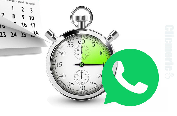 Programmer un message automatique WhatsApp Scheduler et SKEDit