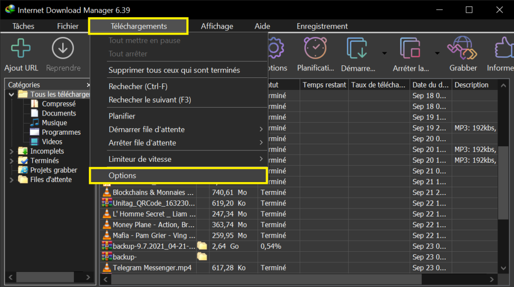 Option Internet Download Manager