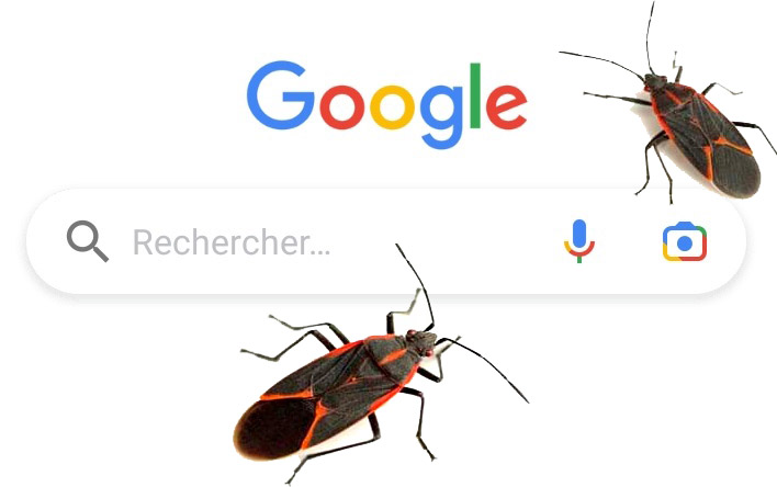 Recherche Google affectées par un bug